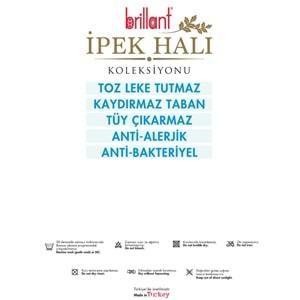 Brillant İpek Latex Kaymaz Taban Halı-ÖMÜR HJ11620.803-(90x160)